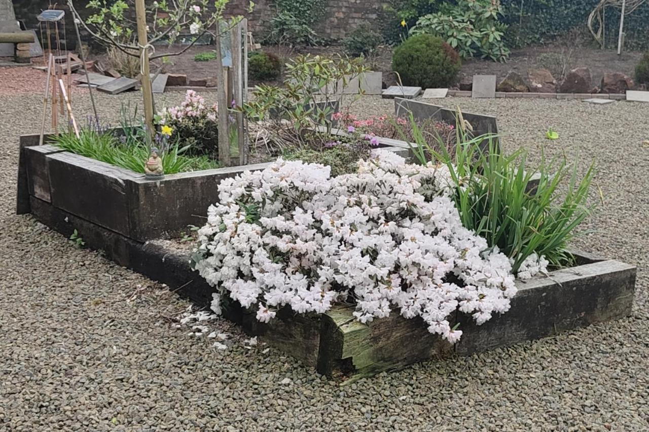 The Cabin Quiet Relaxing And Dog Friendly Mauchline Luaran gambar